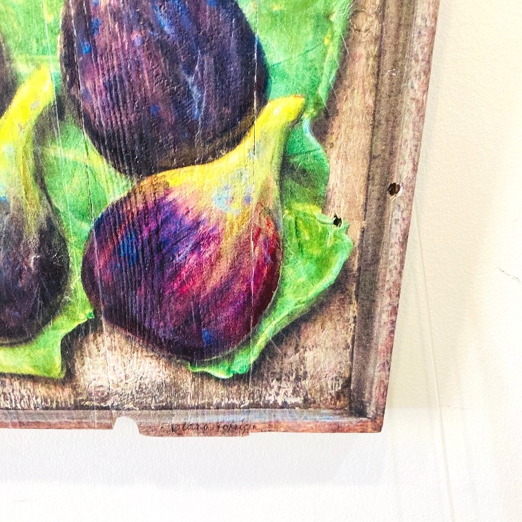 'Figs 18/30' by artist Diana Tonnison